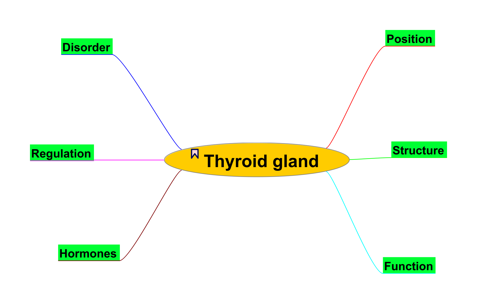 Thyroid_Gland